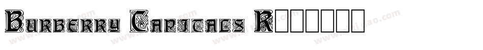 Burberry Capitals R字体转换
